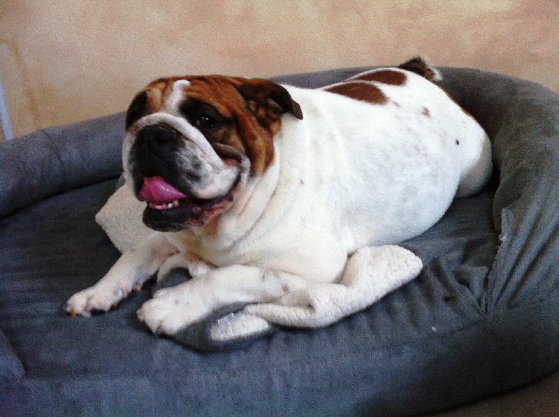 (Sans Affixe) Feeby baby